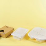 Sustainable Packaging - a person holding a box and two take out containers