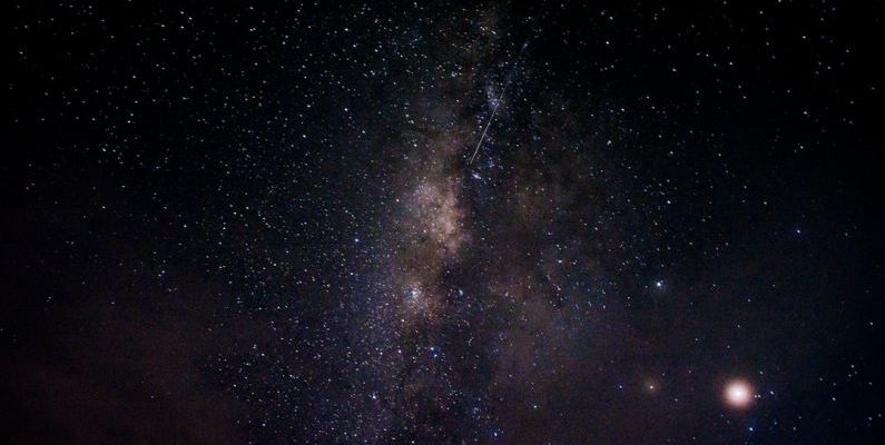 Aquaponics System - milky way