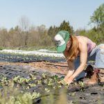 Sustainable Agriculture - woman in pink shirt and blue denim jeans sitting on brown rock near river during daytime