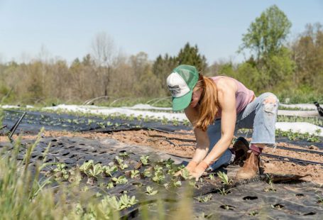 Sustainable Agriculture - woman in pink shirt and blue denim jeans sitting on brown rock near river during daytime