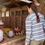 Regenerative Farming - woman in white red and blue striped long sleeve shirt sitting on brown wooden bench