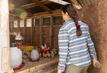 Regenerative Farming - woman in white red and blue striped long sleeve shirt sitting on brown wooden bench
