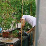 Urban Farming - man in white t-shirt and white pants holding brown wooden stick