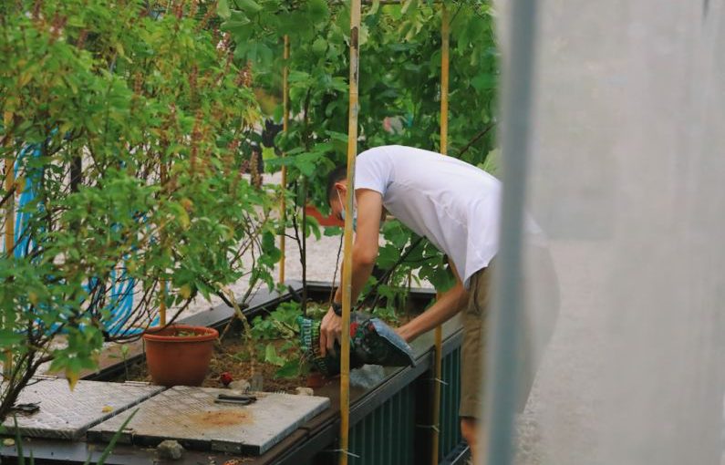 Urban Farming - man in white t-shirt and white pants holding brown wooden stick