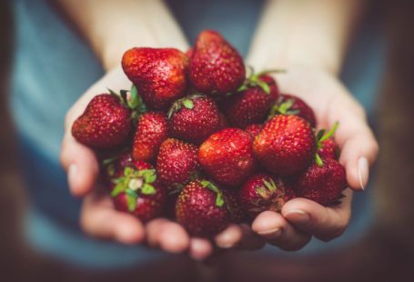 Local Food Community - shallow focus photography of strawberries on person's palm