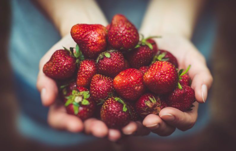 Local Food Community - shallow focus photography of strawberries on person's palm