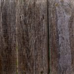 Ancient Grains - grey and black wooden surface