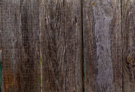 Ancient Grains - grey and black wooden surface