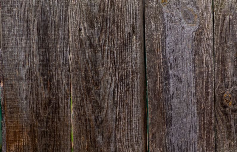 Ancient Grains - grey and black wooden surface