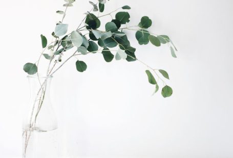 Plant-based Health - green leaf plant