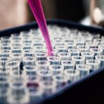 Lab Grown Steak - refill of liquid on tubes