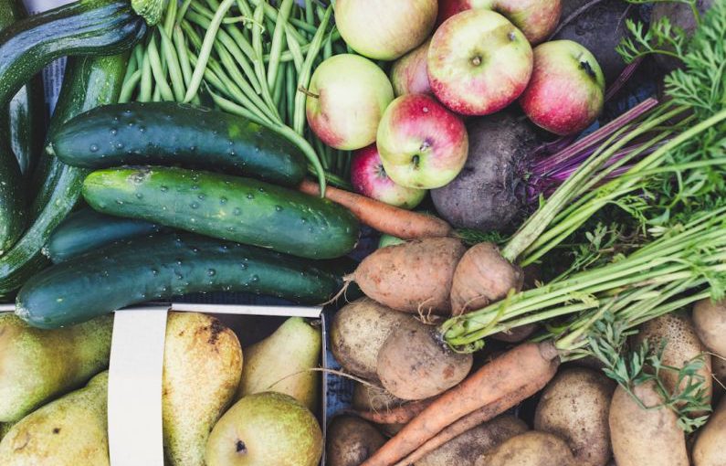 GMO Food - a pile of different types of fruits and vegetables