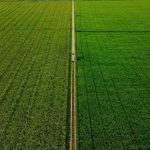 Digital Agriculture - white metal pole on green grass field during daytime