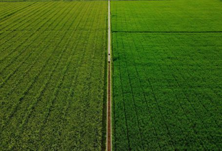 Digital Agriculture - white metal pole on green grass field during daytime