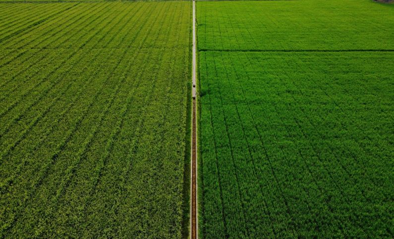 Digital Agriculture - white metal pole on green grass field during daytime