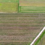 Precision Farming - an aerial view of a large field with trees