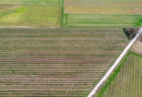 Precision Farming - an aerial view of a large field with trees