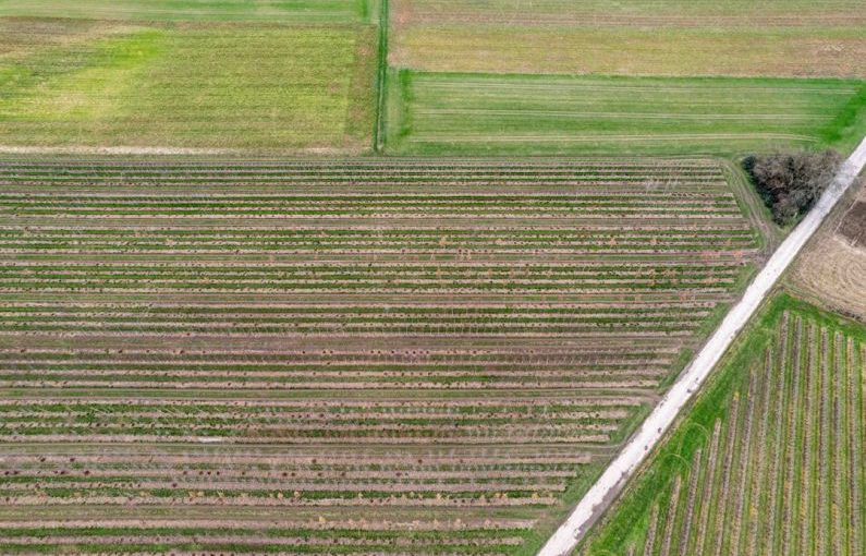 Precision Farming - an aerial view of a large field with trees