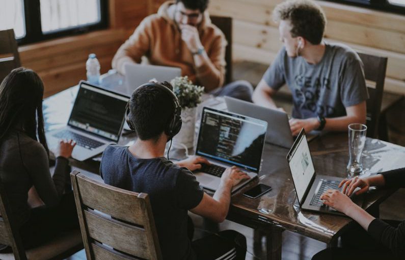 Agroforestry Business - group of people using laptop computer