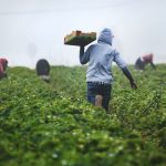 Vertical Farming Industry - man in gray hoodie and black pants holding brown cardboard box