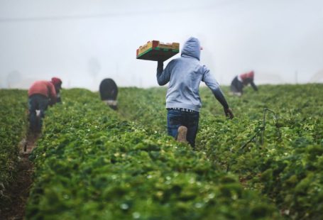 Vertical Farming Industry - man in gray hoodie and black pants holding brown cardboard box
