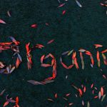 Organic Farming - a group of red and orange streamers that spell out the word project