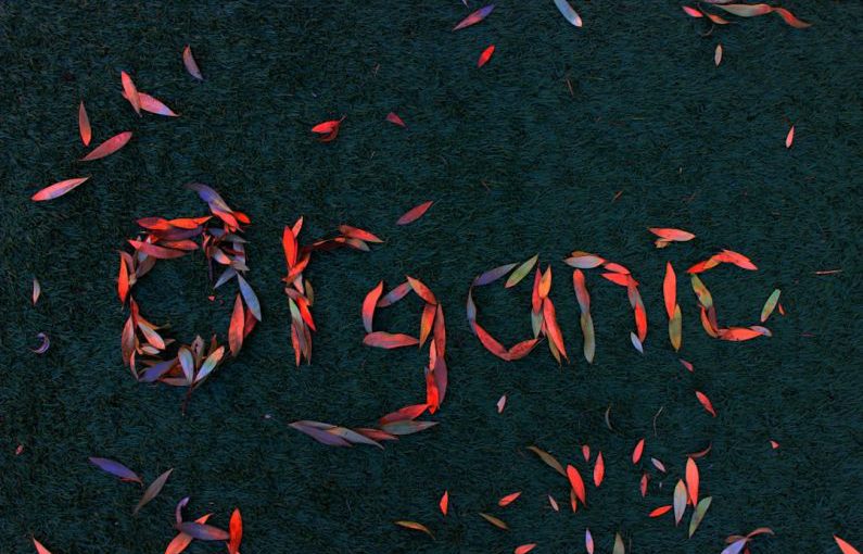 Organic Farming - a group of red and orange streamers that spell out the word project